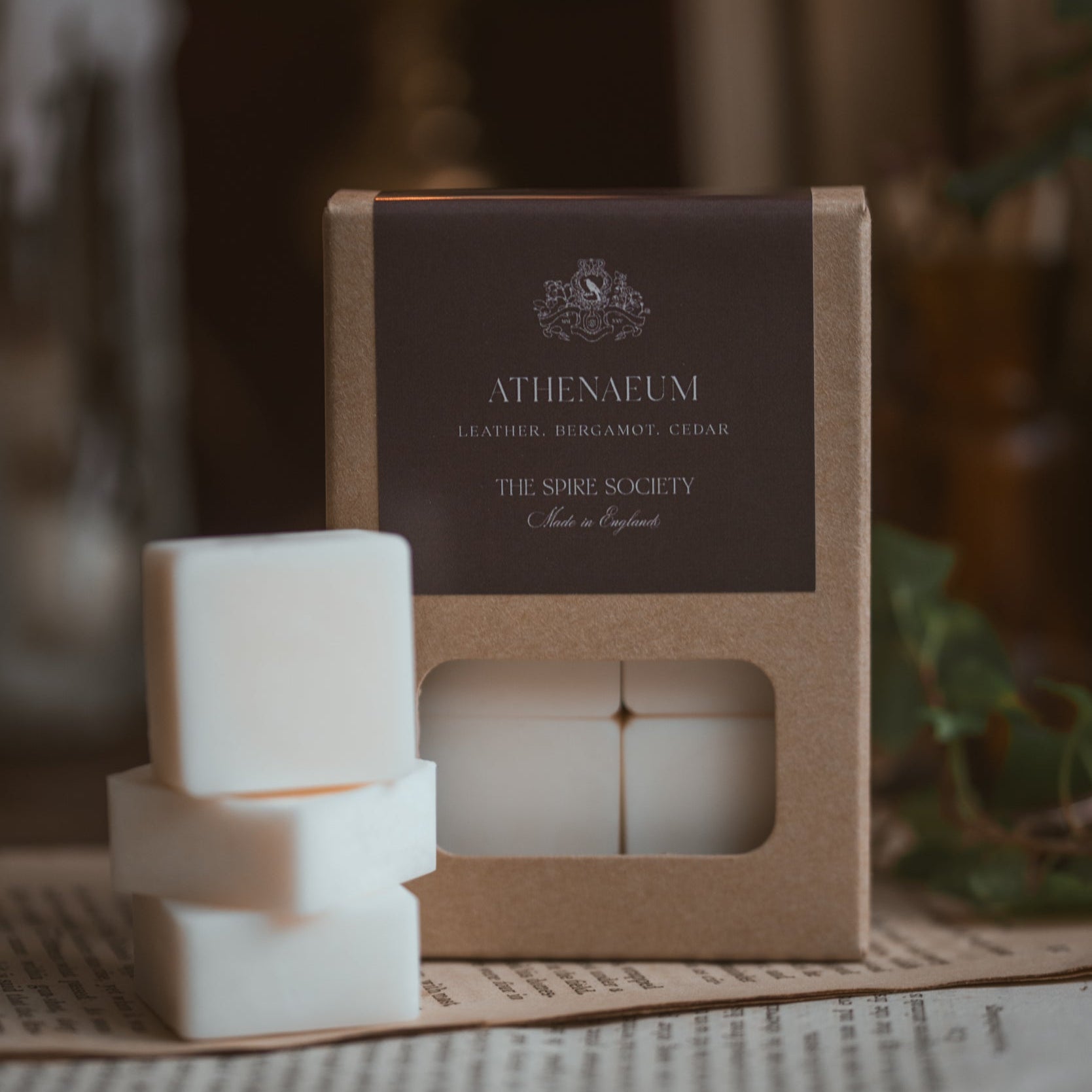Athenaeum wax melt cubes in kraft packaging with dark brown label