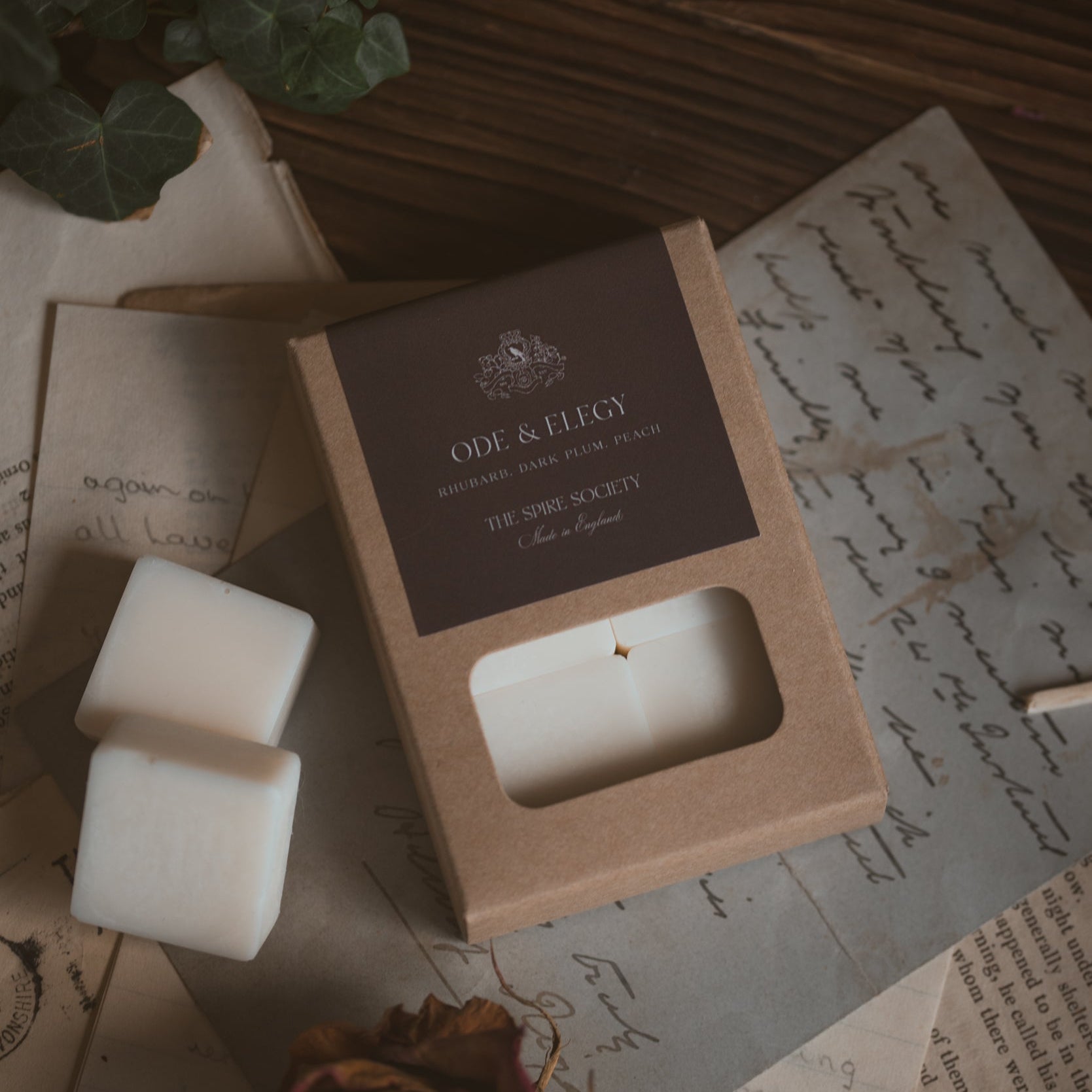 Ode & Elegy wax melt cubes in kraft packaging with a dark brown label